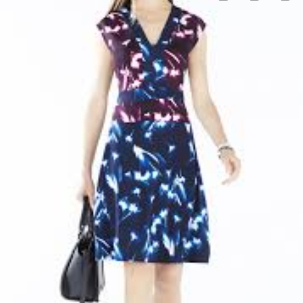 BCBG Max Azria Brigid Fit and‎ Flare Dress